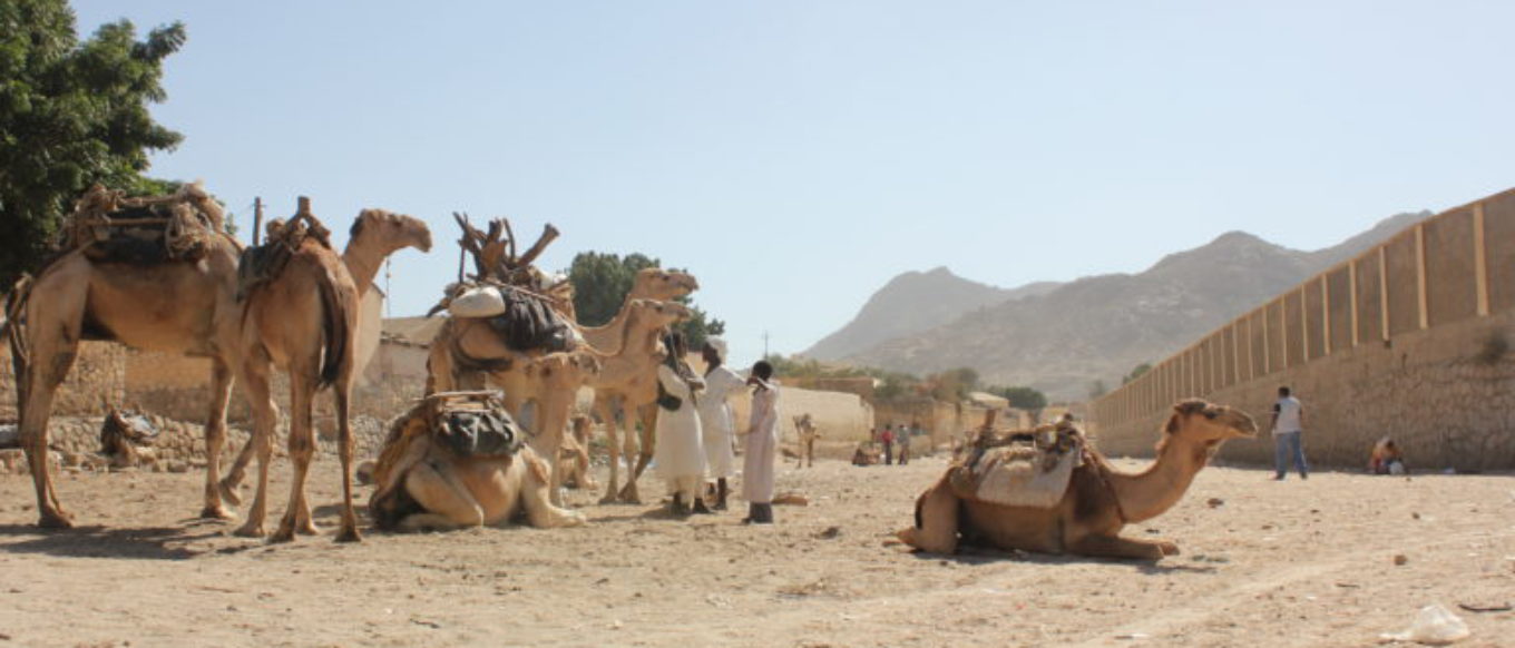 Africa Photo Stories